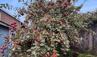 1330 CRISSEY Cir, Brookings, OR 97415