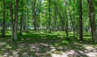 Mountain Road, Albrightsville, PA 18210