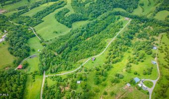 1570 Carl Doty Rd, Afton, TN 37616