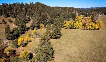 Tract 6 Lone Elk Ranch, Alva, WY 82711