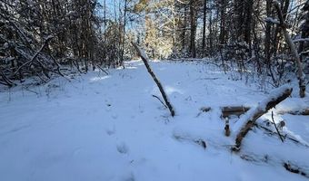 US-1 lot 10, Baring Plt, ME 04694