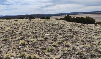 15 County Rd N8641, Concho, AZ 85924