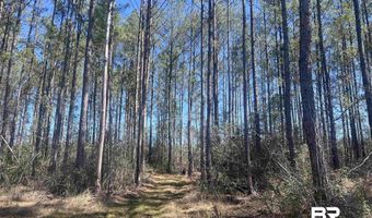 10 Robinsonville Rd, Atmore, AL 36502