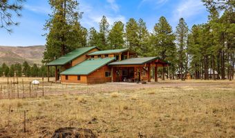 7 A County Road N2312, Alpine, AZ 85920