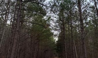 0- Lot 7 Piney Mountain Rd, Appomattox, VA 24522