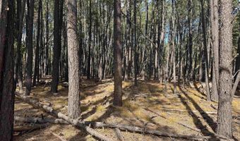 Alamosa Terrace lot 929, Angel Fire, NM 87710