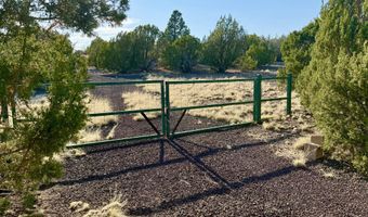 37 Co Rd N8174 10.1 Acres, Concho, AZ 85924