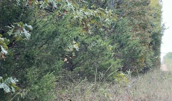 County Road 113 lot 3, Alton, MO 65606