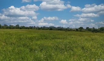 14 31 Acres Highway 463, Bay, AR 72411