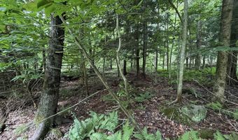 1386 Clif Reynolds Rd, Cambridge, VT 05444
