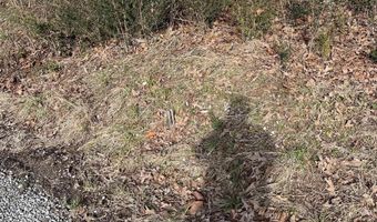 24 Acres County Road 1825, Arab, AL 35016