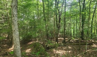 20 Bluff View Loop, Allardt, TN 38504