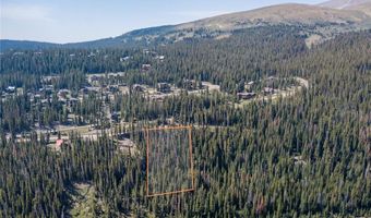 585 COUNTY ROAD 805, Breckenridge, CO 80424