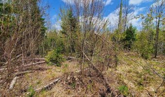 Lot # 2 Cone Road, Amity, ME 04471