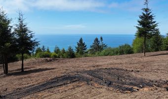 McVay Creek Rd TL310, Brookings, OR 97415