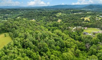 99999 Old NC 20 Hwy Tract C, Alexander, NC 28701