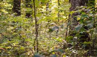 Cypress Pointe Drive lot 15, Brooksville, MS 39739