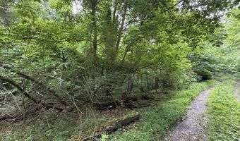 5 Lots Fortunato Dr, Baneberry, TN 37890