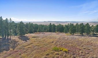 19260 19262 Other, Belle Fourche, SD 57717