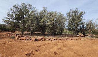 S2 Lot 92 Off Indian Springs, Ash Fork, AZ 86320