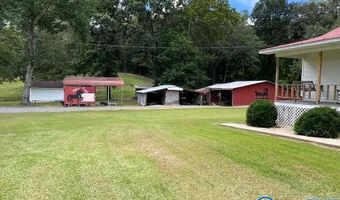 288 Silo Rd, Altoona, AL 35952