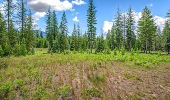 317 Treetop Bluff Ln, Bonners Ferry, ID 83805