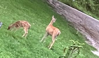 679 New Hope Church Rd, Barbourville, KY 40906