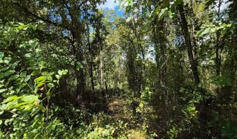 653 Battiest Cemetery Rd, Battiest, OK 74728