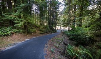 1107 WINCHUCK RIVER Rd, Brookings, OR 97415