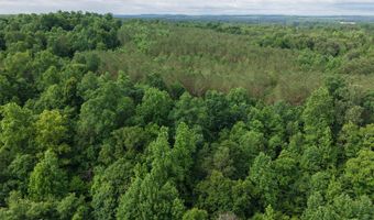 000 Fowler Rd, Beech Bluff, TN 38313