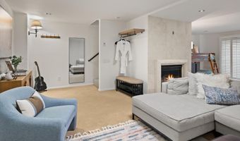 650 S Monarch St Unit 11, Aspen, CO 81611