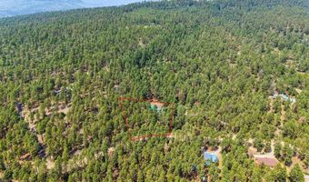 415 Blue Ridge Dr, Bayfield, CO 81122