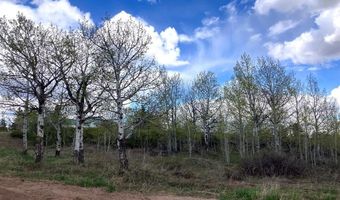Tbd Aspen Heights Drive, Ashton, ID 83420