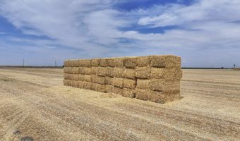 4617 Road 42, Alpaugh, CA 93201