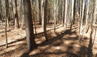 Tbd Oakland Avenue, Asheboro, NC 27205