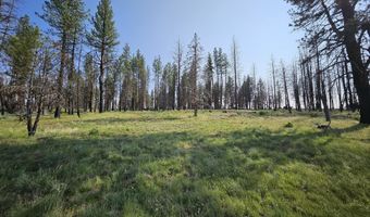 Parazoo Trail Lot 2 Block 8, Bly, OR 97622