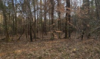 U.S. Highway 51, Bogue Chitto, MS 39629