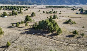 10201 Packsaddle Rd, Cascade, ID 83611