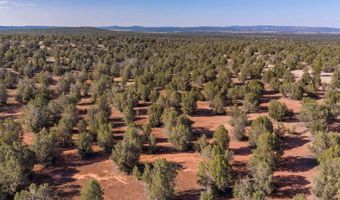 W Conwayden Road, Ash Fork, AZ 86320