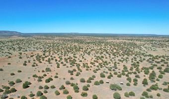 12 County Rd N8543, Concho, AZ 85924