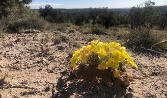 OFF ROAD 3160, Aztec, NM 87410