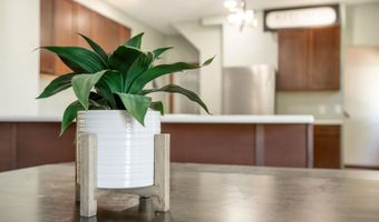 1207 Alden St, Alden, IA 50006