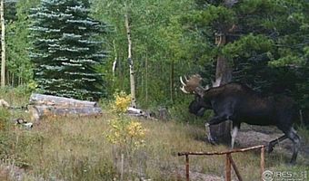 84 County Road 113 S, Allenspark, CO 80510