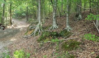 285 Co Rd 235, Arley, AL 35541