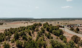 1933 S Canyon Dr, Apple Valley, UT 84737