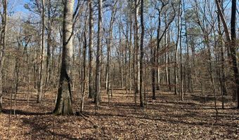 Cr 127, Abbeville, MS 38601