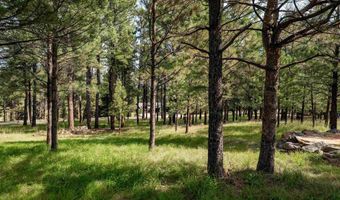 Lot 1127 Spyglass Hill Rd, Angel Fire, NM 87710