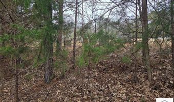 3184 Old Liberty Dr, Axton, VA 24054