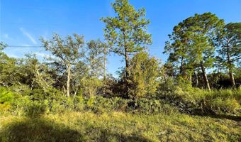 0 SR-19, Altoona, FL 32702