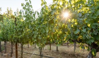 710 Anderson Ln, Angwin, CA 94508